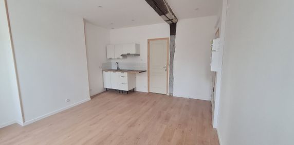 Location Appartement 1 pièce 20m² - Photo 2