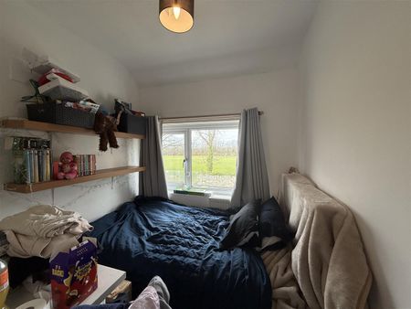 29 Ffriddoedd Road - Photo 3