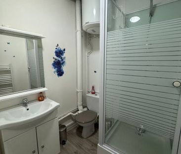 T2 MEUBLÉ DE PROCHE FAC DES SCIENCES - Photo 5