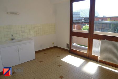 Location appartement 1 pièce 43.87 m² à Annemasse (74100) 4 - Photo 4