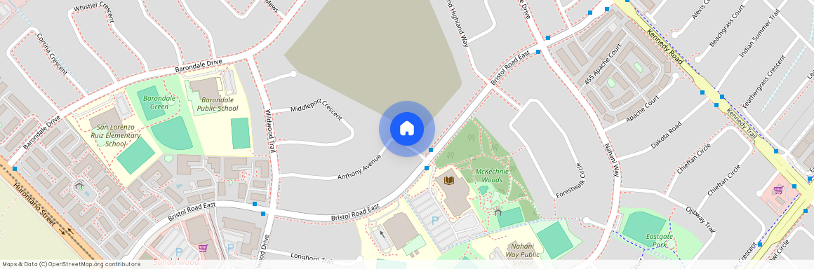 257 Anthony Avenue Unit# Lower, Mississauga