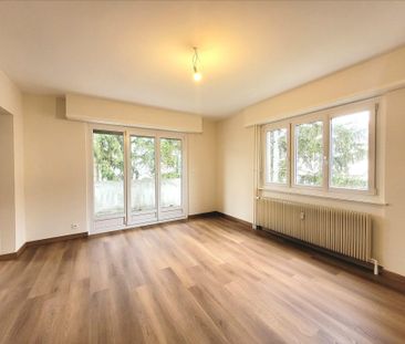 Beau 2/3 pièces au calme à Horbourg-whir – chauffage inclus - Photo 1