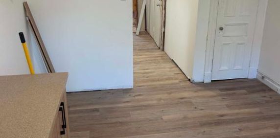 Grand et luxueux 3 1/2 Plateau Mont-Royal - Photo 2