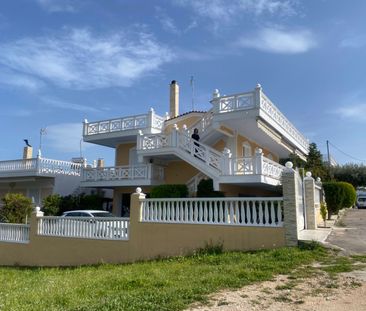 Μονοκατοικία για ενοικίαση - Σχηματάρι, - Photo 3