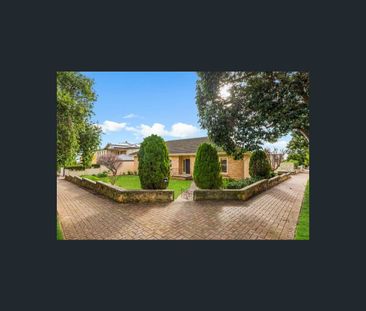 47 Hay Road, Linden Park, SA 5065 - Photo 2