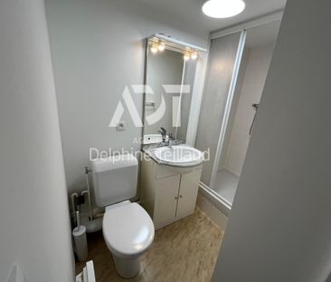 Location Appartement 1 pièce 17m² GRENOBLE 38000 - Photo 3