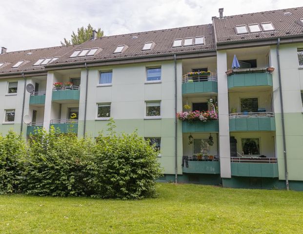 3-Zimmer-Wohnung in Flensburg Weiche - Photo 1