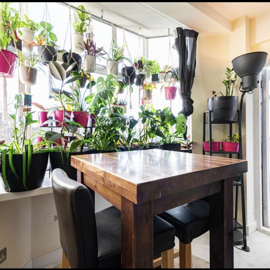1 Bed Flat, Gray's Inn Rd, WC1X - Photo 1