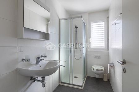 IDEAL 3.5 ROOMS IN CADENAZZO - Photo 4