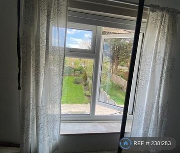 2 bedroom semi-detached house to rent - Photo 5