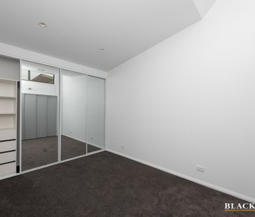 50A Brookman Street, Torrens ACT 2607 - House For Rent | Domain - Photo 3