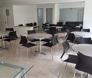Viva no Jardim Londrina: Apartamento Ideal! - Photo 3
