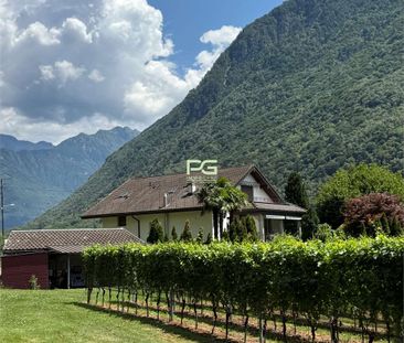 3.5 Zimmer, 115 m², 1. Stock - Photo 3