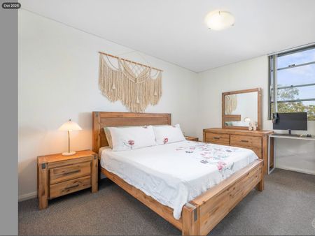 Park Views, Perfect Location - Photo 3