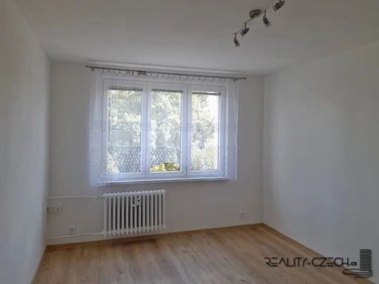 Pronájem, Byty, Garsoniéra, 20 m - Fotografie 1