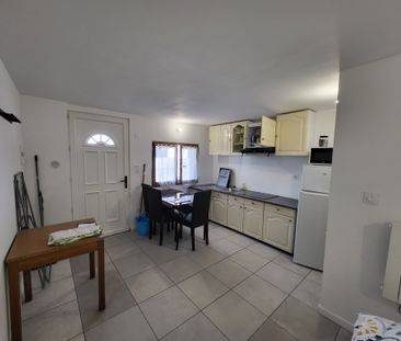 Location Appartement 1 pièce 20m² VILLENEUVE TOLOSANE 31270 - Photo 3