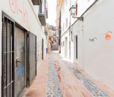 Gandia - Photo 5