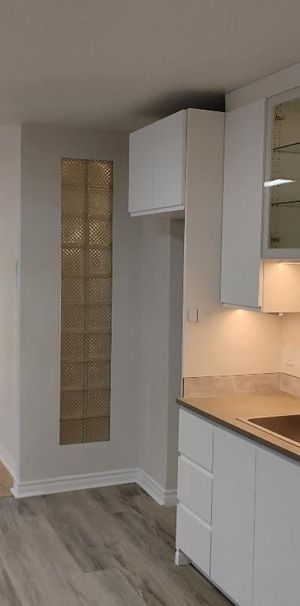 À louer 4 et demi entièrement rénové avec thermopompe, deux chambres fermées quartier tranquille - Photo 1