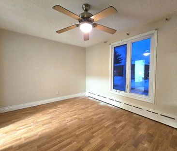 For Lease - 205 Lavergne Street Unit# 1, Vanier and Kingsview Park,... - Photo 4