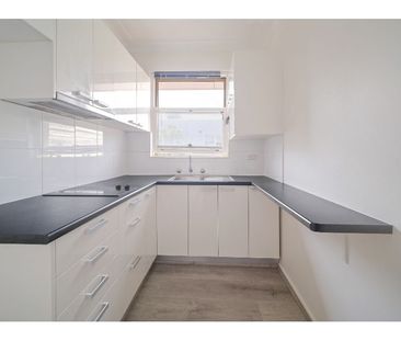 Freshly Renovated and Light Filled Studio in Prime Position - Photo 4