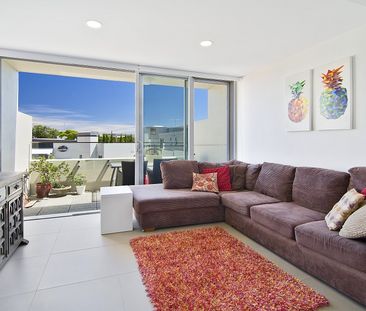 312/53 Palmer Street, Cammeray NSW 2062 - Apartment For Rent | Domain - Photo 3