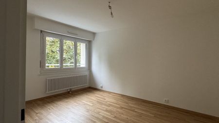 Renovated 3.5-room apartment on the 1st floor - Photo 4