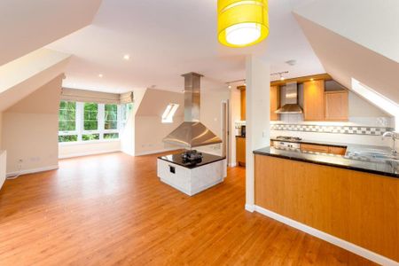 3 bedroom apartment to rent - Photo 3