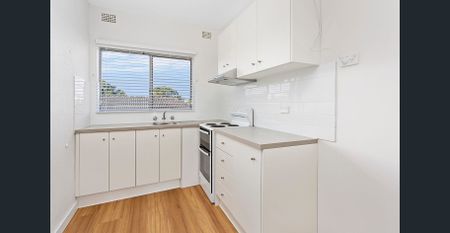 Bright, Fresh & Full of Natural Light - Photo 5