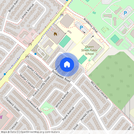 15 Colonel Frank Ching Crescent, Brampton