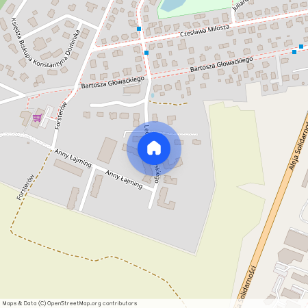 ul. Lecha Bądkowskiego, Tczew, tczewski, pomorskie