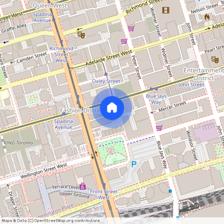 393 King St W, Toronto