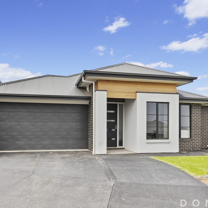 Near New Executive 4 Bedroom Home - Photo 1