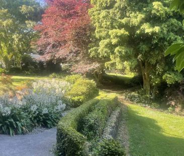 2 Bedroom Hidden Gem - Photo 5