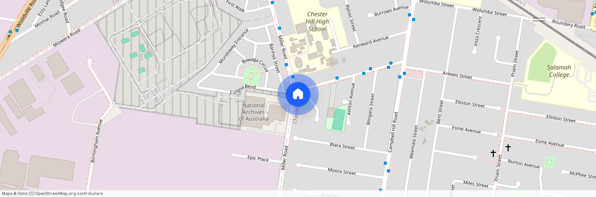 25 Curtis Road, Chester Hill 2162, New South Wales