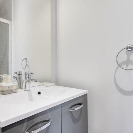LACASSAGNE Roommate 4 Bedrooms at Lyon 3e - Photo 4