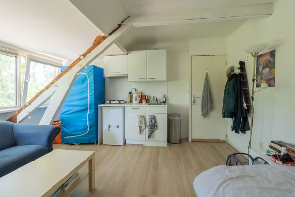 Roomburgerlaan - Photo 1