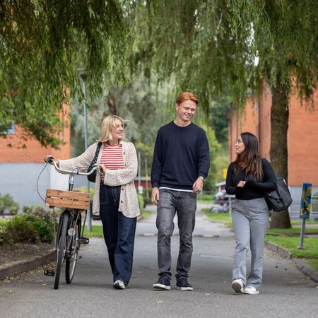 Pilegården 8 D - Foto 4