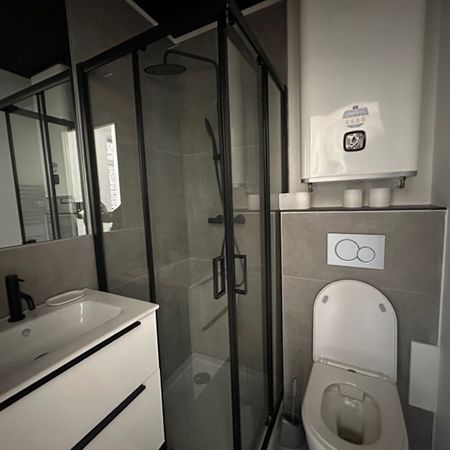 Location Appartement 1 pièce 20m² - Photo 3