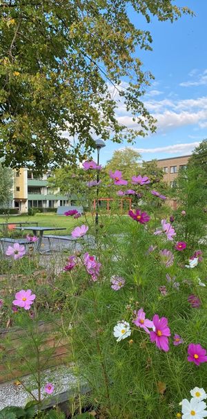 Hålsjögatan 41, Bellevuegården - Photo 1