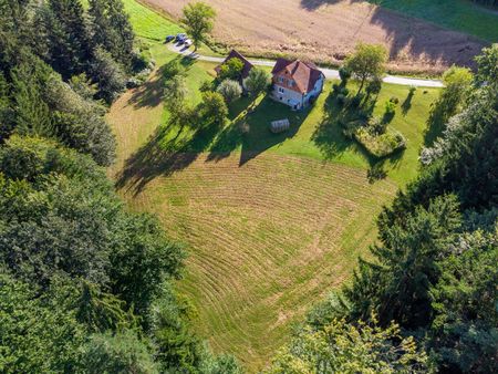 Haus mit großem Grund und Wald zur Miete - Photo 4
