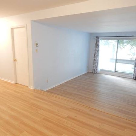 Adjacent to Downtown, Bright and Spacious 2-bedroom Apartment - Photo 1