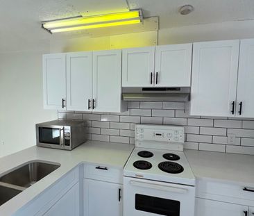 RENOVATED! 2 BDRM MAIN-BASEMENT!!! IN DOWNTOWN - Photo 2