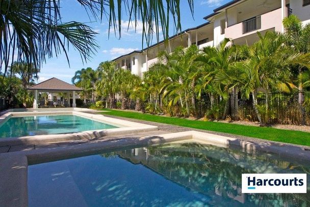 37/6 Henry Street, West End - Photo 1