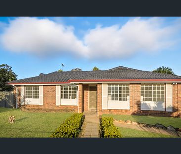 44 Allard Street, Penrith, NSW 2750 - Photo 4