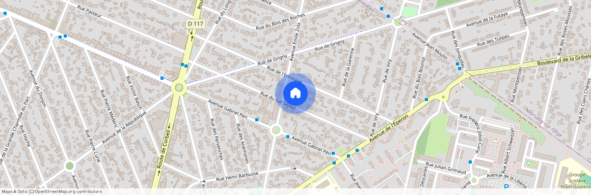 SAINTE GENEVIEVE DES BOIS 91700