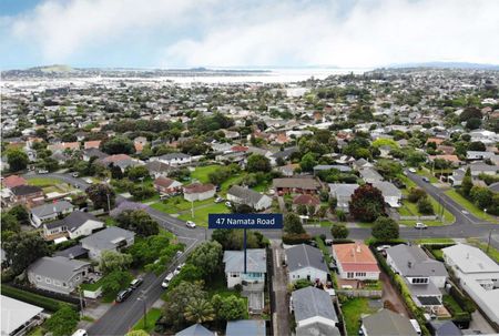 47 Namata Road, Onehunga - Photo 4