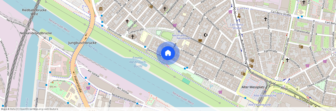 Alphornstraße 1, 68169 Mannheim