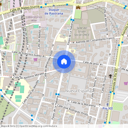 Nueva España, Madrid