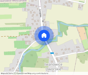 Zaogrodzie - Bielany | dom - 350m2 | Eng - Photo 1