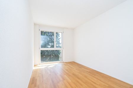 Dort leben, wo andere Ferien machen. - Photo 3